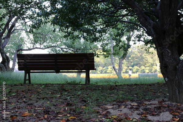 Fototapeta ベンチ