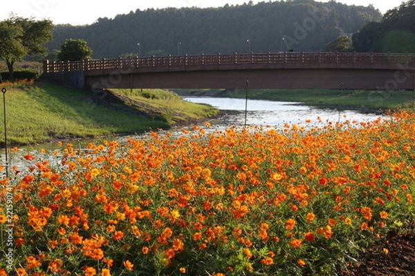 Fototapeta 安らぎの場所
