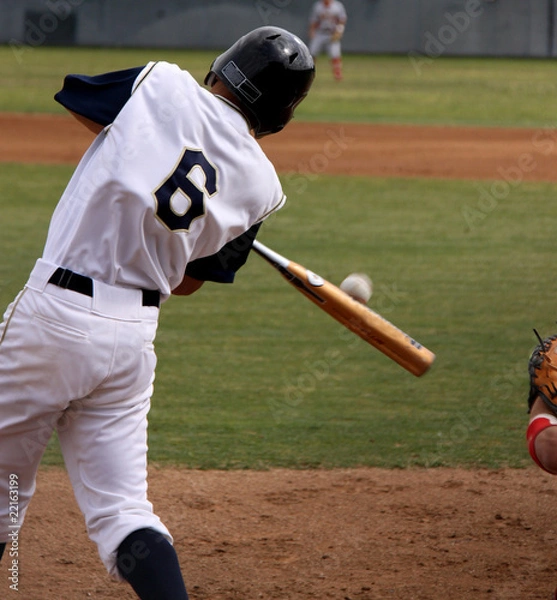 Fototapeta Baseball Action