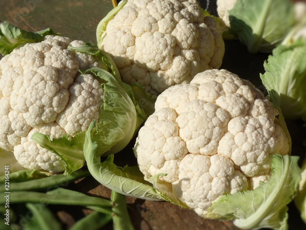 Fototapeta blumenkohl