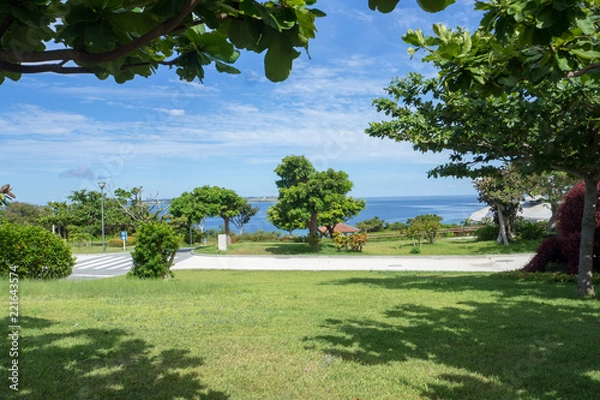 Fototapeta trees in the park