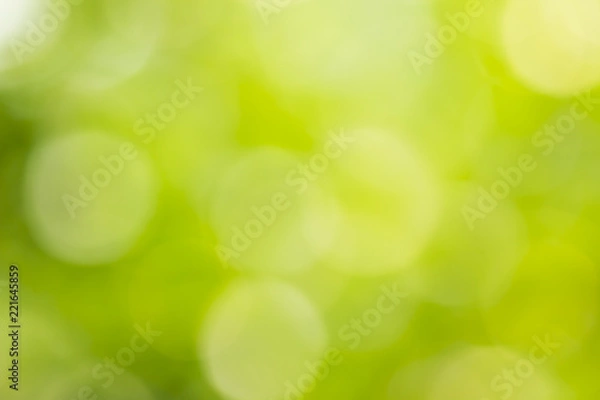 Obraz bokeh natural green blurred abstract background