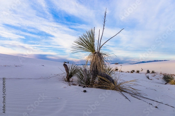 Obraz White Sand monument