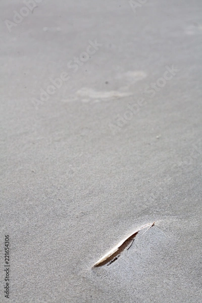 Obraz Muschel im Sand