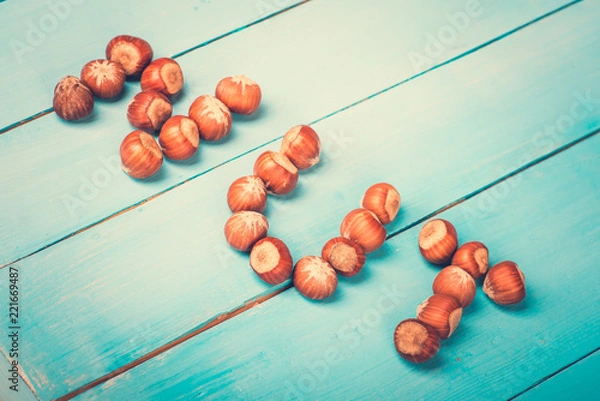 Obraz Brown hazel nut