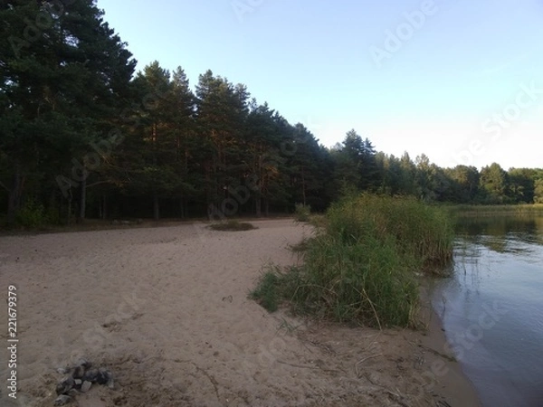 Obraz Sandy Beach Next To Woods
