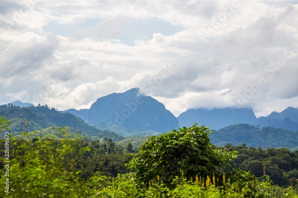 Obraz  blue mountain in forest