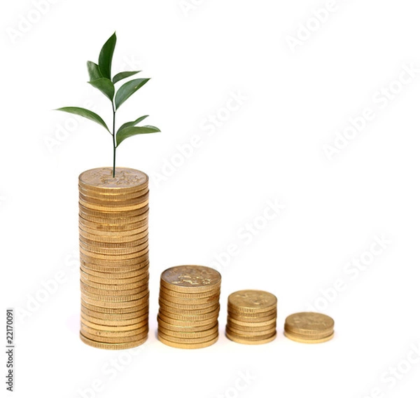 Fototapeta Money concept