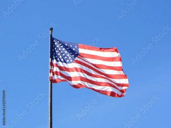 Obraz American Flag in Wind