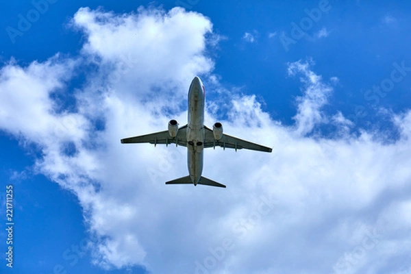 Obraz airplane in the sky