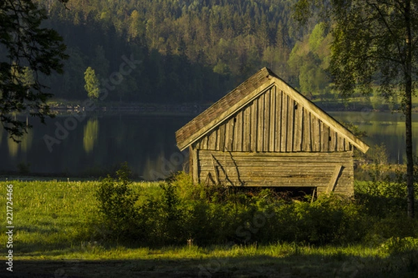 Obraz old house in the forest
