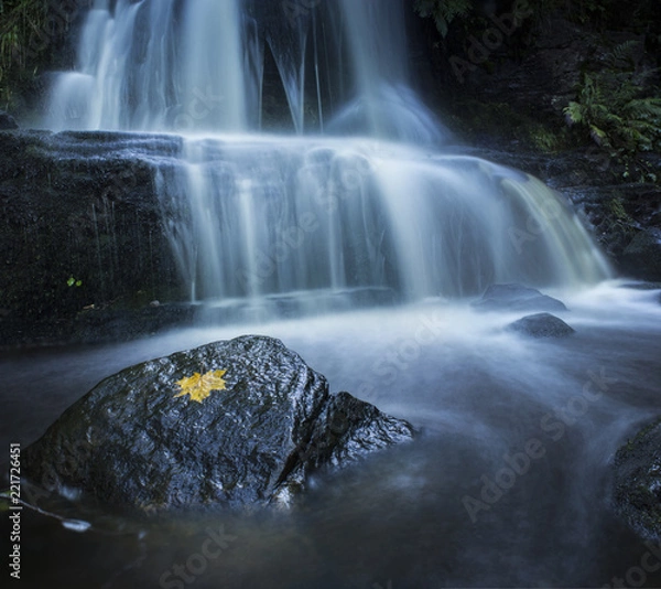Obraz waterfall in the forest