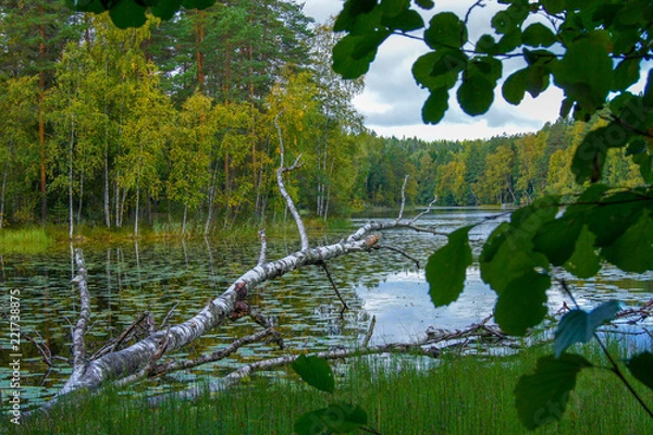 Obraz ヌークシオ国立公園