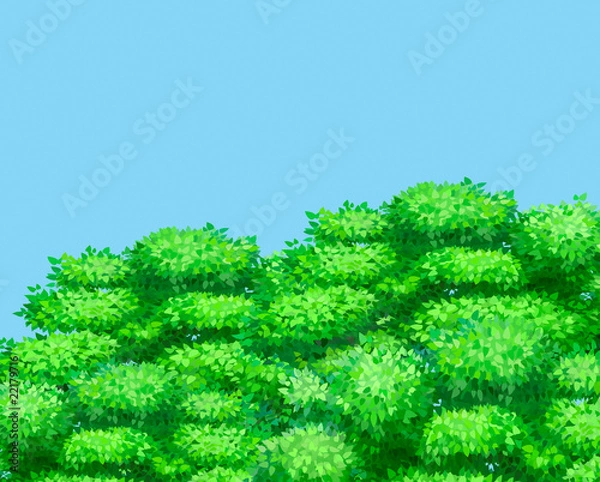 Obraz Green forest background vector
