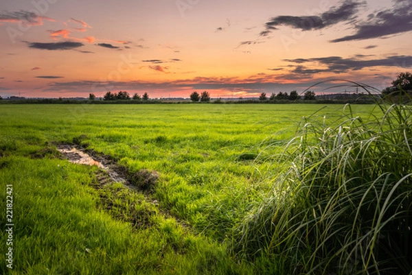 Fototapeta Red sky landscape