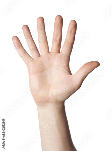 Obraz 6 fingers