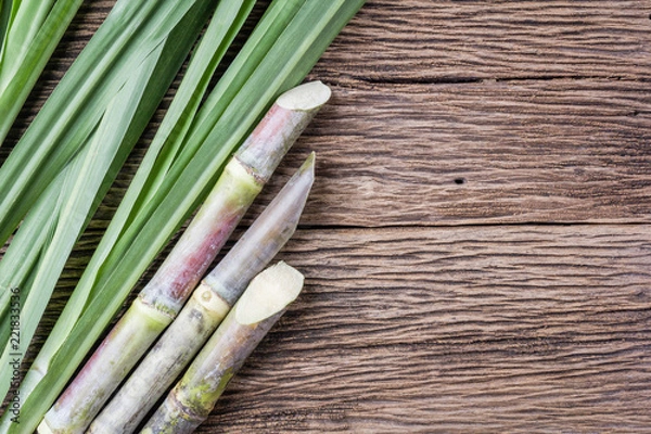 Fototapeta Close up concept sugarcane on wood background.