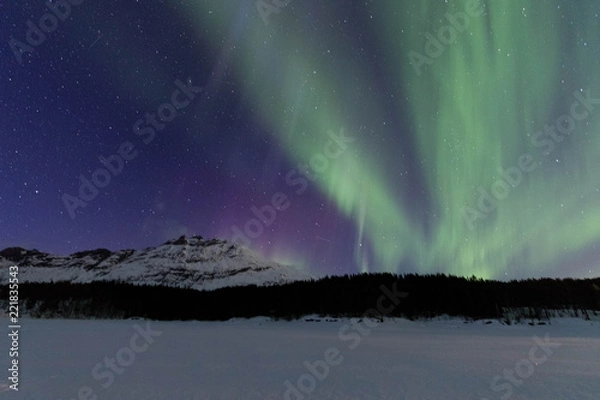 Obraz Nothern lights in Lofoten islands