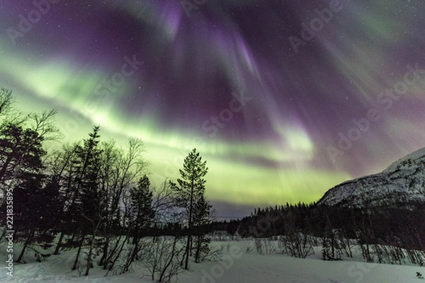 Obraz Nothern lights in Lofoten islands