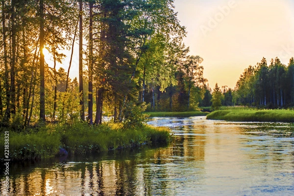 Obraz  Sunset over river Sunlight through trees