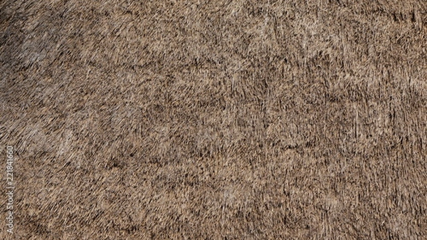 Obraz Thatched Straw Roof Texture Background
