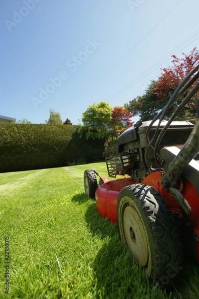 Obraz lawn care