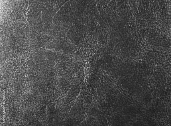 Obraz grey skin texture