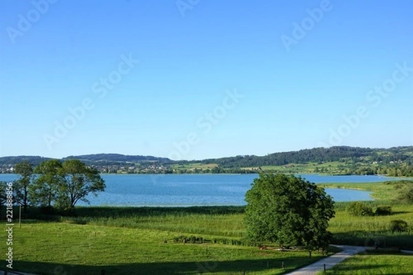 Fototapeta Seegräben dorf am pfäffikersee in der schweiz im sommer