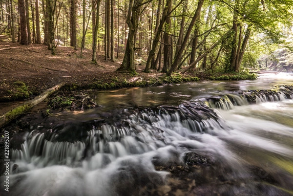 Fototapeta Szumy na Tanwii 