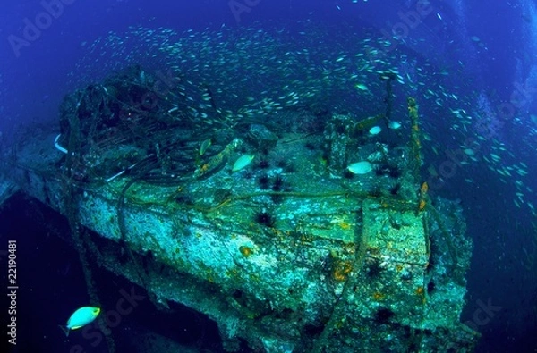 Obraz King Cruiser Wreck