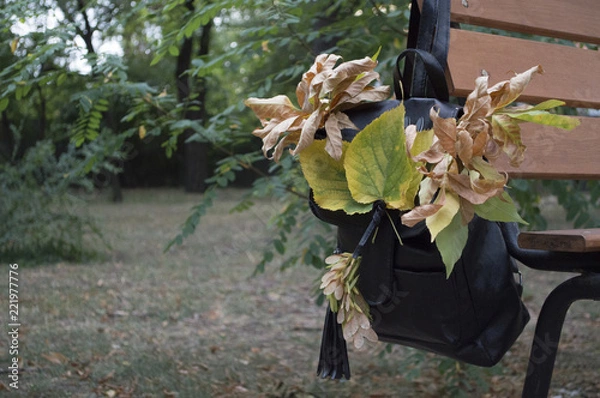 Fototapeta School bag with leaves