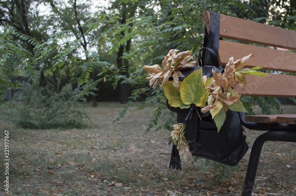 Fototapeta School bag with leaves