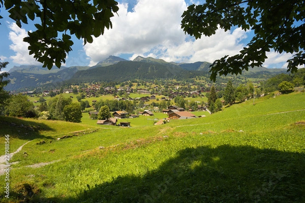 Fototapeta View of a mountain resort of Grindelwald, Switzerland