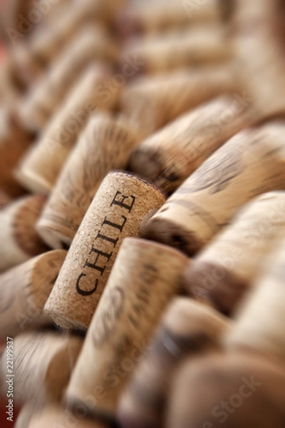 Fototapeta Chile cork plug