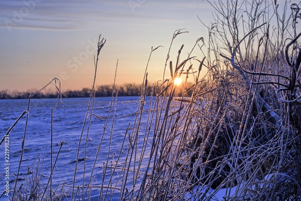 Obraz Sunrise is winter 