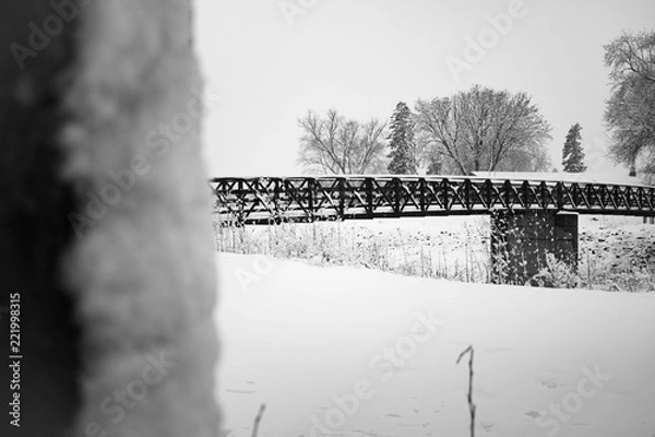 Obraz Winter Bridge 