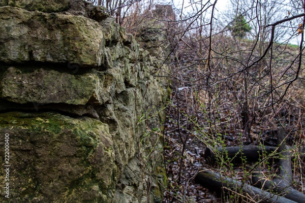 Obraz Spring- Nature 