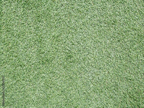 Obraz Green grass , natural background texture.