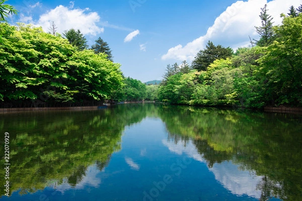 Obraz 軽井沢の象徴である雲場池