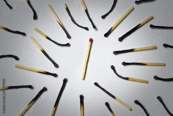 Fototapeta Many burned matches around the healthy one