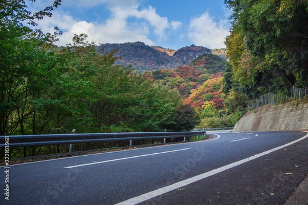 Fototapeta 寒霞渓