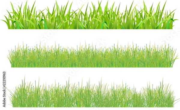 Obraz Set grass