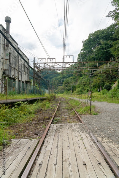 Fototapeta 廃線と廃墟