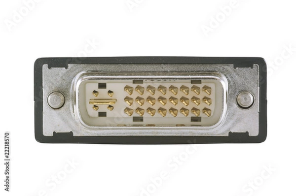 Obraz DVI connection isolated on white