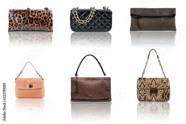 Obraz Clutches collection isolated on white background.Front view.
