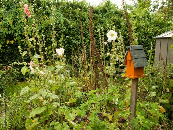 Fototapeta OLYMPUS DIGITAL CAMERA