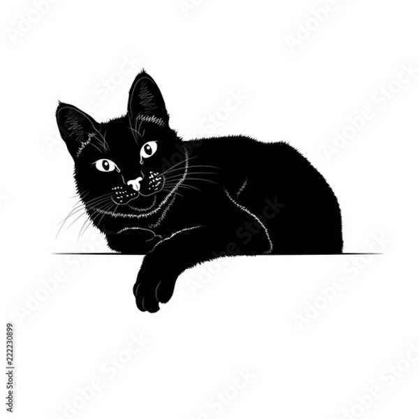 Obraz Векторный рисунок. Чёрный силуэт лежащей кошки 