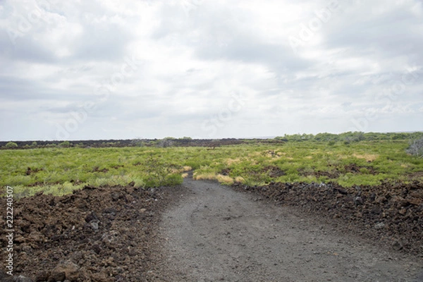 Fototapeta Kauna Point,Big Island,Hawaii