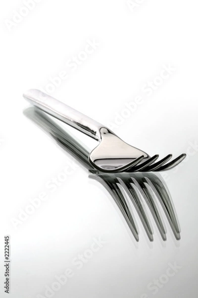 Obraz fork with reflection