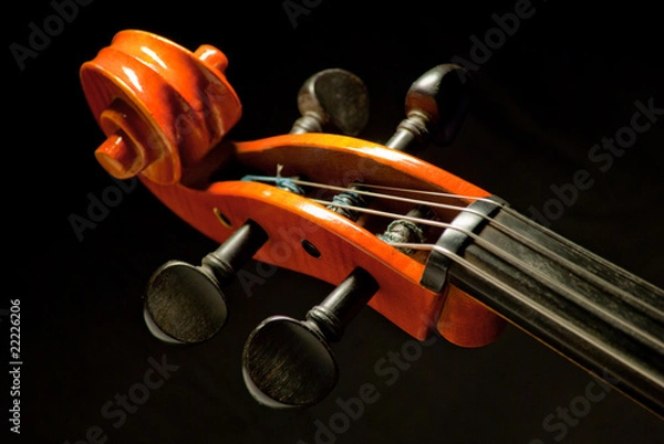 Obraz kopf eines violoncelli